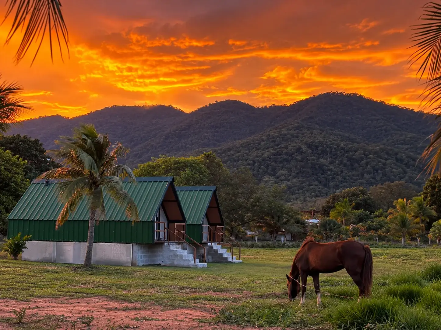 Chalés A-frame da Quinta Ribeiro Cader ao pôr do sol, com cavalo pastando e a serra ao fundo